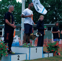 Dante em competição de Agility
