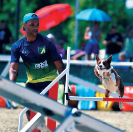 Dante representando a Seleção Brasileira de Agility