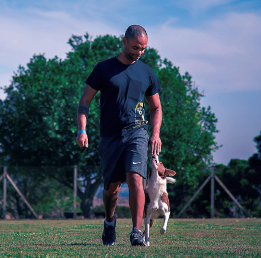 Dante caminhando com um cão
